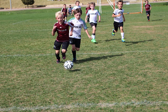 确率和二发 确率和二发