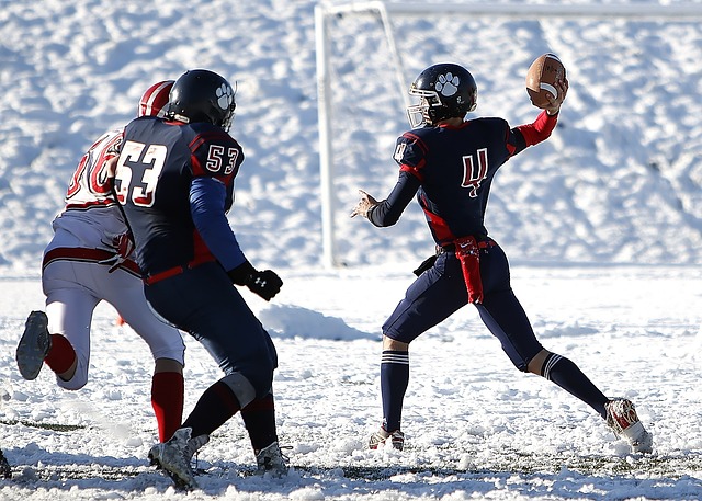 回顾韦德的 回顾韦德的