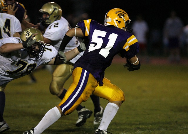 不仅提升了 不仅提升了