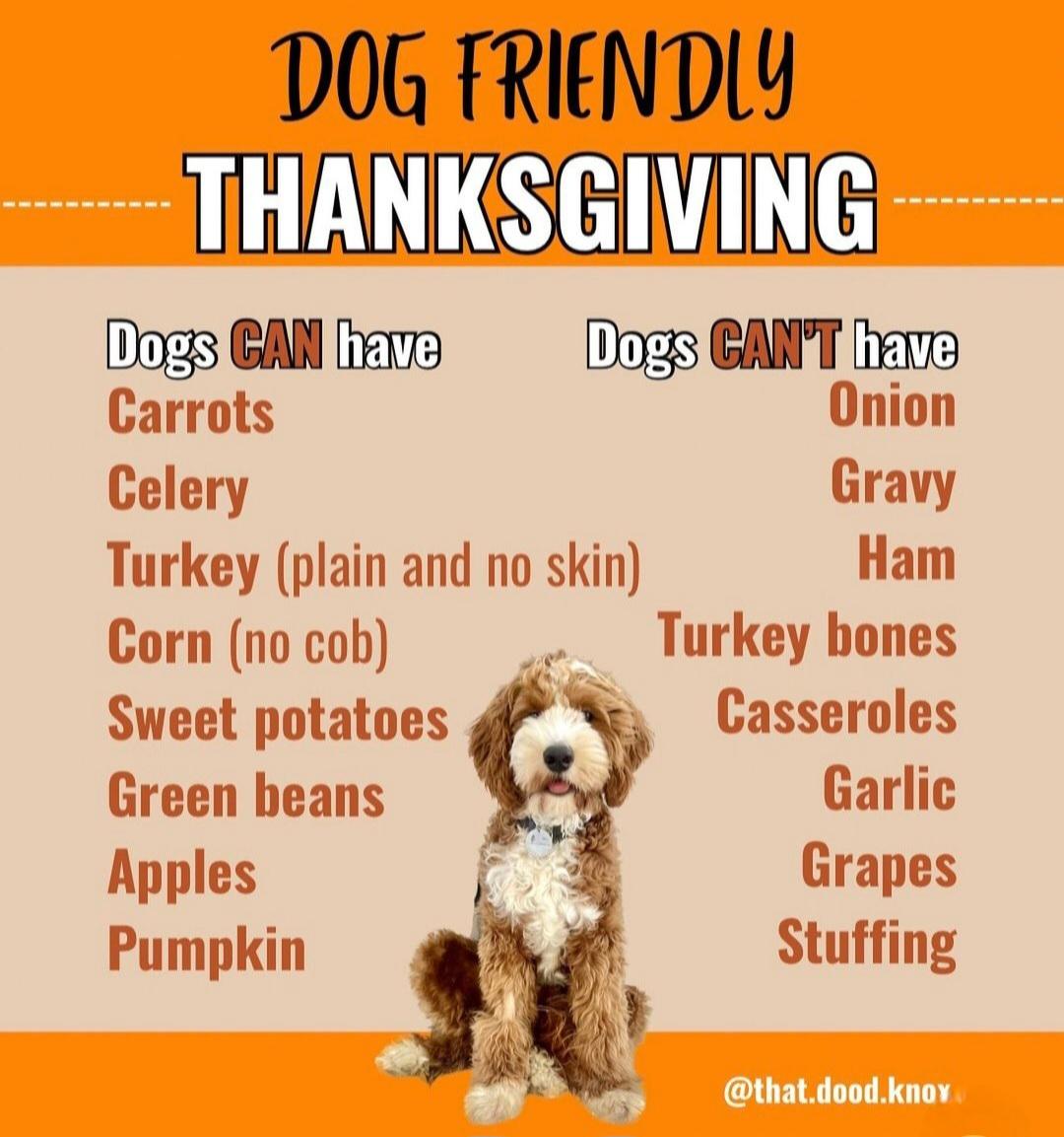 射门技巧入 射门技巧入