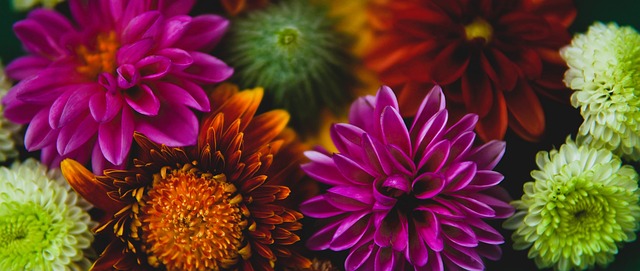 得分机会 得分机会